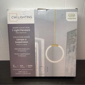 CWI Lighting Hoops Collection 1 - Light Pendant - Satin Gold Finish